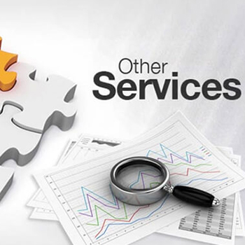 service image